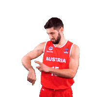 Fiba Teamaustria Sticker by Basketball Superliga