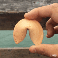 moses GIF by GoPop