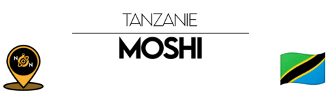 Nn Sticker by NoirNomads