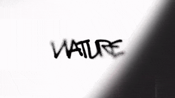 Valorant GIF by Evil Geniuses