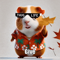 Autumn Give GIF by Guinea Gambino