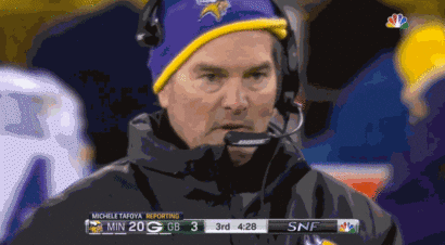 minnesota vikings GIF