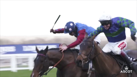 Horse Racing GIF by Ascot Racecourse