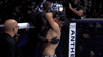 Mixed Martial Arts Sport GIF by UFC