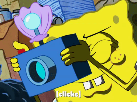 season 8 episode 3 GIF by SpongeBob SquarePants