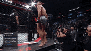 Michael Chandler Sport GIF by UFC