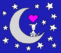 chippythedog chippythedog GIF