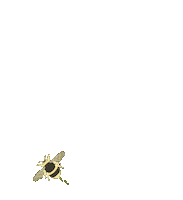 Vegan Cheese Sticker by RIND