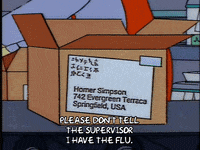 Season 4 Episode 21 GIF by The Simpsons