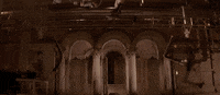GIF by Ghostbusters 
