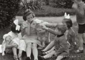 Friends Love GIF by BrabantinBeelden