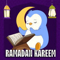 Penguin Ramadan GIF by Pudgy Penguins