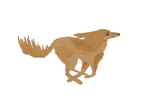 Dog Running Sticker by vres