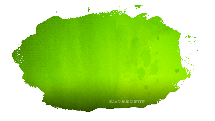 Coach Curso Sticker by Isaac Burguette