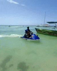 Beach Day Watersports GIF