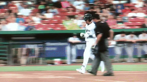 kccougars GIF by Kane County Cougars
