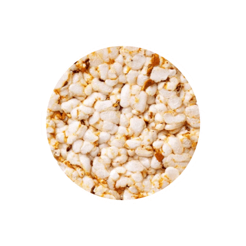 LundbergFamilyFarms giphyupload rice cake ricecake rice cakes Sticker