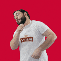Humor Cesko GIF by Penam