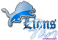miami dolphins football STICKER