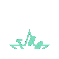 Clue Free Star Sticker by IDK