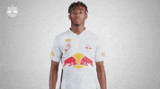 Football Sport GIF by FC Red Bull Salzburg
