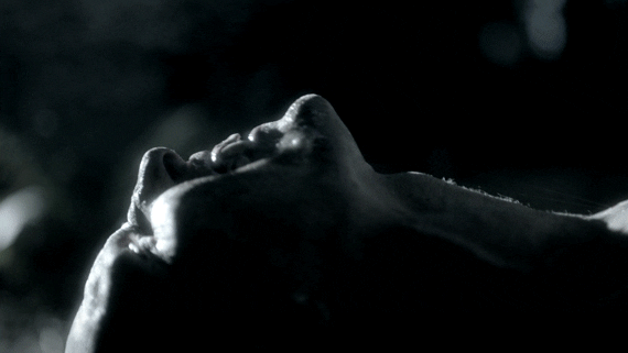 fox abby GIF by Wayward Pines