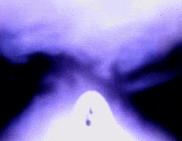 nuclear blast recordings GIF by Machine Head