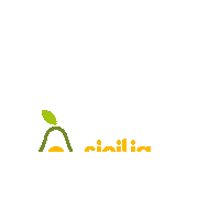 siciliaavocado food avocado sicilia cibo Sticker