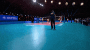 Head Coach Yes GIF by Volleyball World