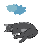 Farinity cat sun weather sleeping Sticker
