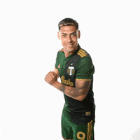 Portland Timbers Soccer GIF by Timbers