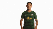 Celebrate Portland Timbers GIF by Timbers