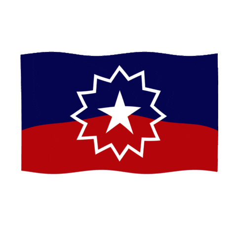 African American Flag Sticker by Flags For Good