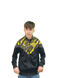 Bvb Sticker by Borussia Dortmund