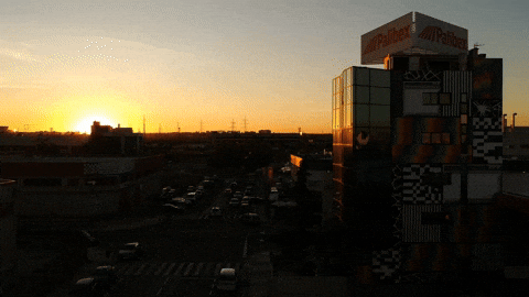 Palibex giphyupload transporte pale logistica GIF