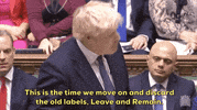 brexit parliament boris johnson GIF