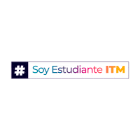 ITMinstitucional itm Sticker