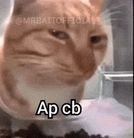 Orange Cat GIF