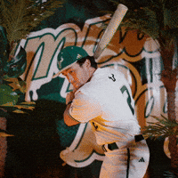 South Florida Baseball GIF by USF Athletics