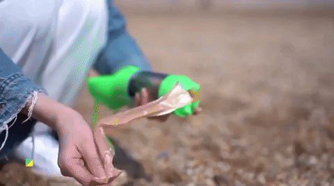 Hparker232 giphygifmaker GIF