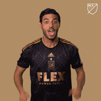 Vamos Lets Go GIF by Major League Soccer