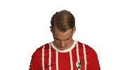 Scf Lienhart Sticker by Bundesliga