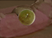 Digital Art Gif Artist GIF by Mahmoud Ismail