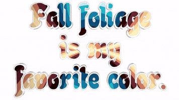 Fall Autumn GIF
