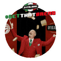 Toronto Raptors Sticker by D'Italiano