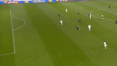 Reiny giphyupload GIF