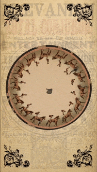 Valentines Day Love GIF by The Pathfinder