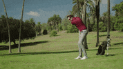Aftershokz GIF by Shokz