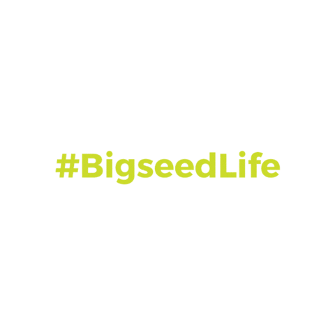 BigseedPR giphygifmaker bigseed bigseed life Sticker