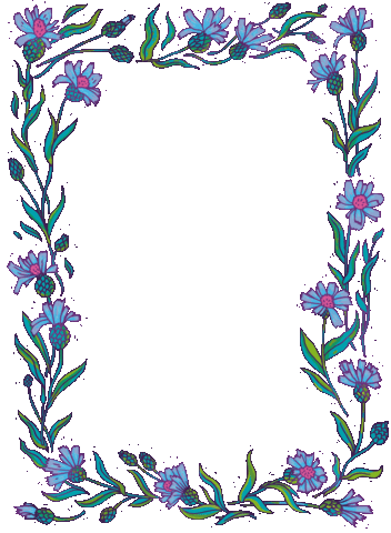 Flowers Border Sticker